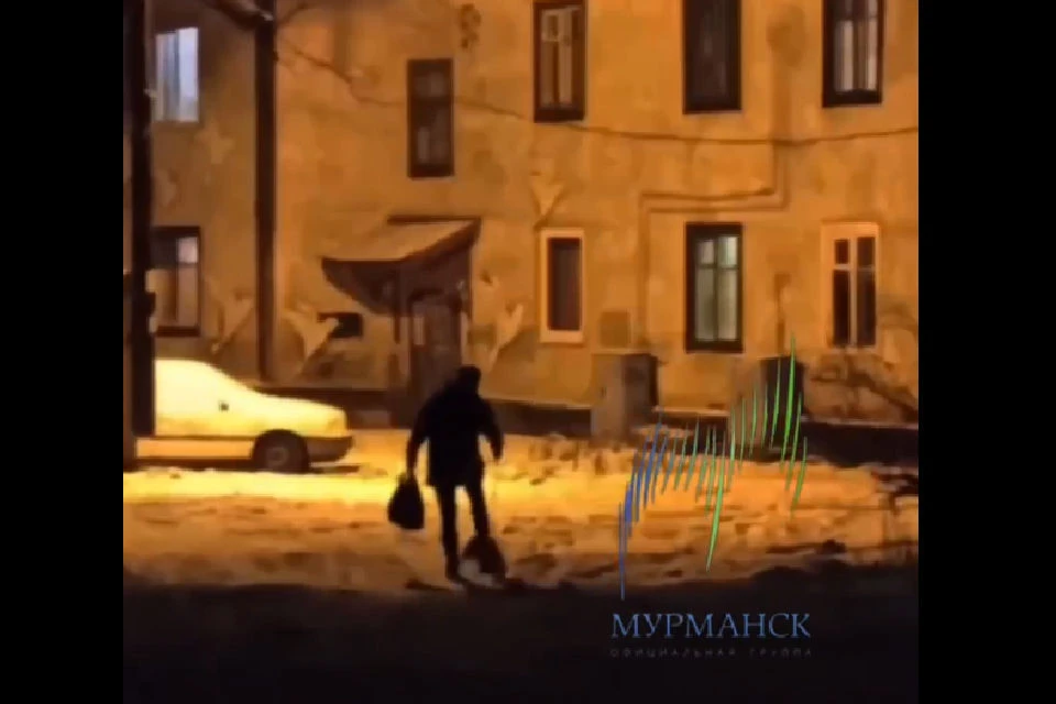 Северянка натягивает поводок так, что собака волочится по снегу. Фото: скрин видео t.me/groupmurmansk