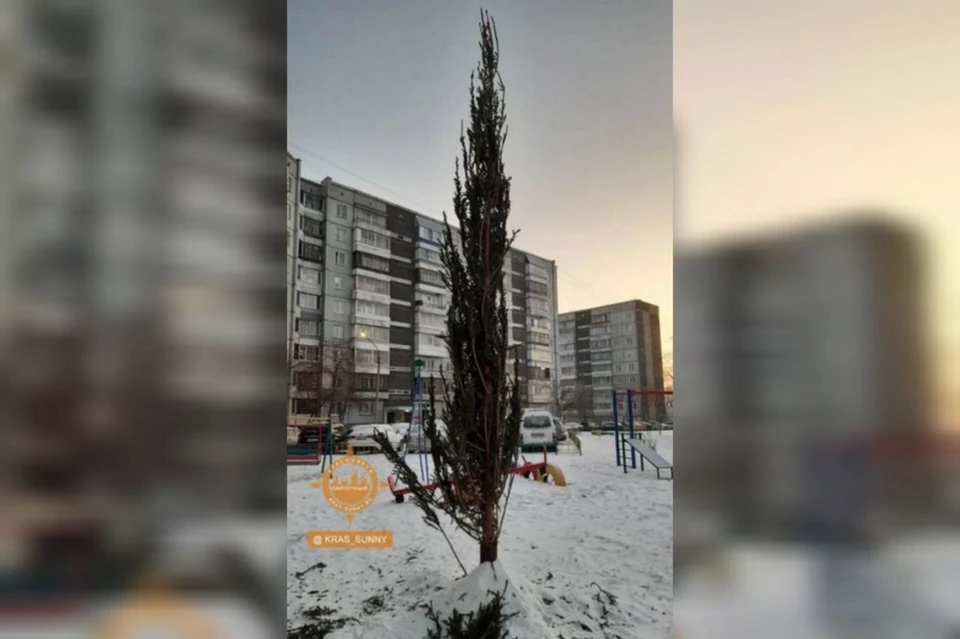 Фото: группа VK «Наш мкр. Солнечный. Красноярск»