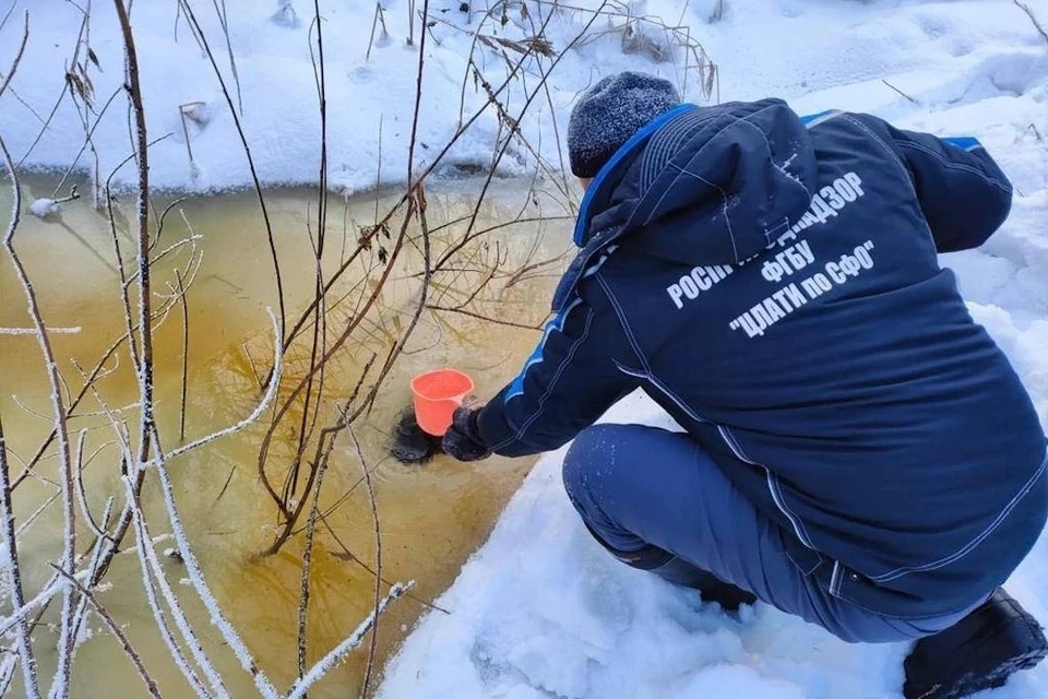 Экспертиза не смогла определить источник загрязнения реки Нарниста в Дзержинском районе Новосибирска. Фото: минприроды НСО