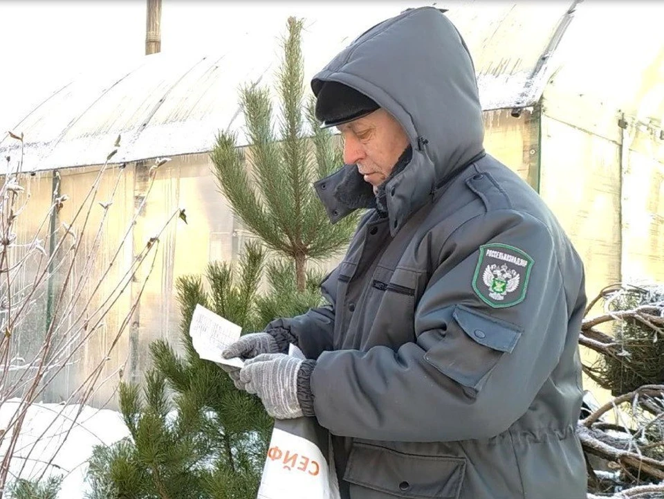 Фото: Управление Россельхознадзора по Владимирской, Костромской и Ивановской областям