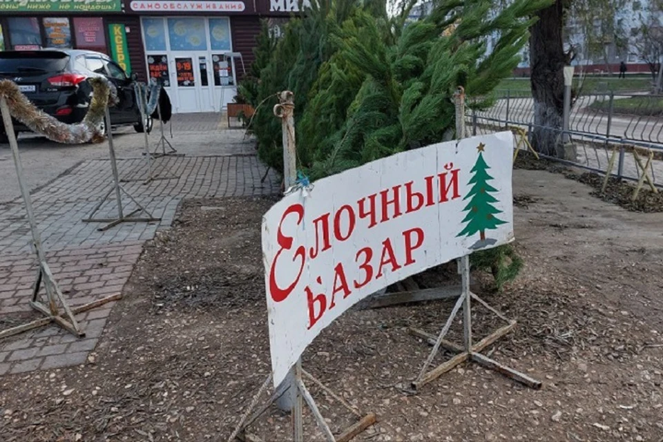 Елочные базары в Керчи заработали 15 декабря
