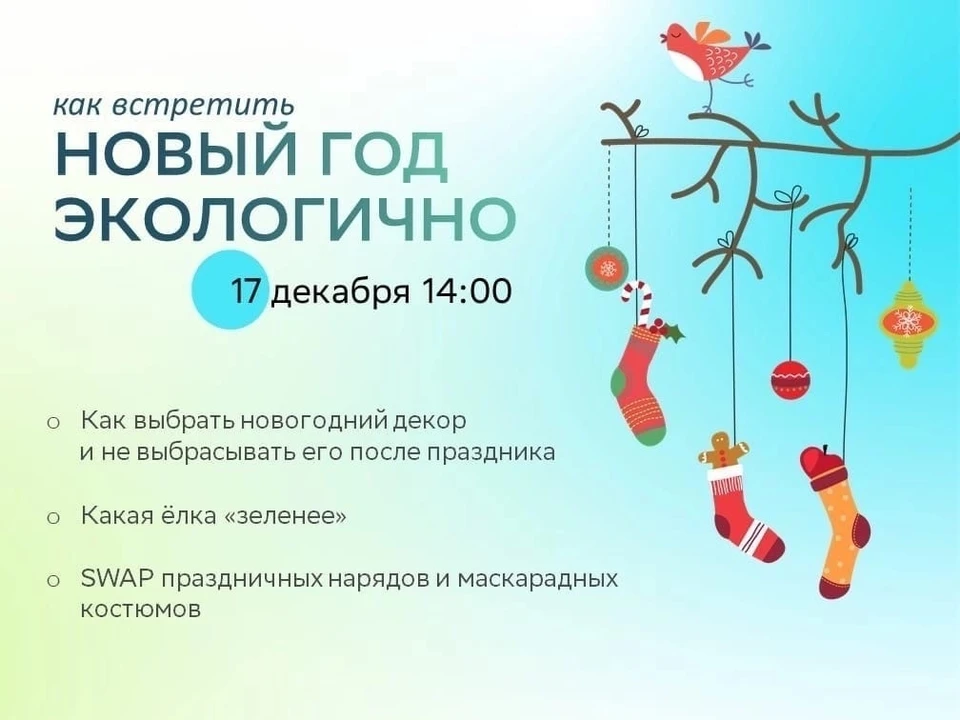 Самарцам расскажут, как встретить новый год экологично