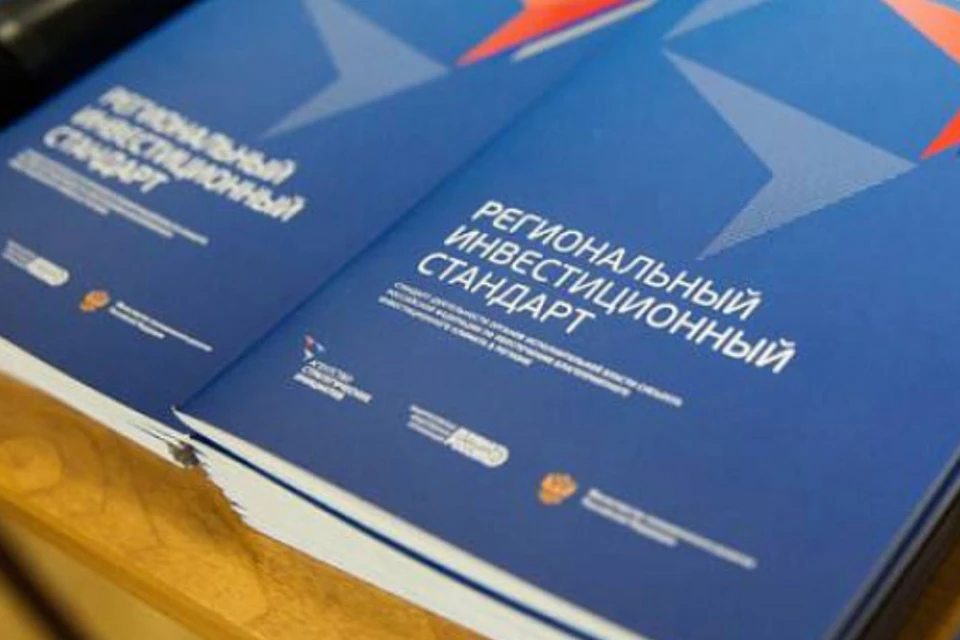 Презентация региональный инвестиционный стандарт