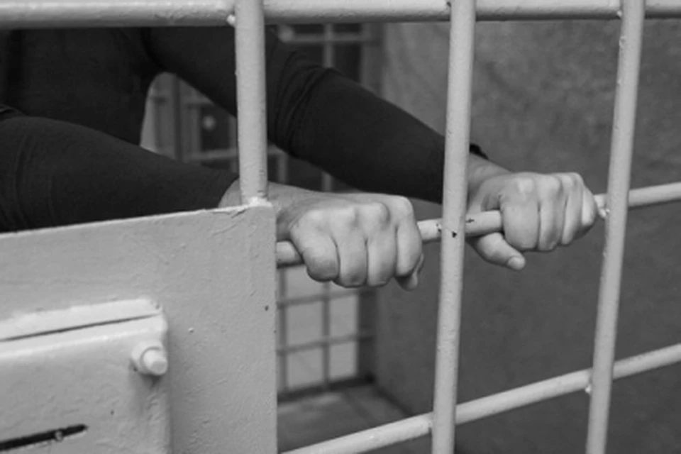 Фото: пресс-служба СУ СК России по Костромской области