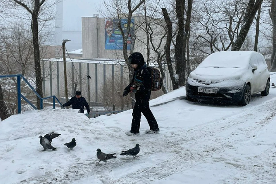 О погоде рассказали специалисты портала «Примгидромет».