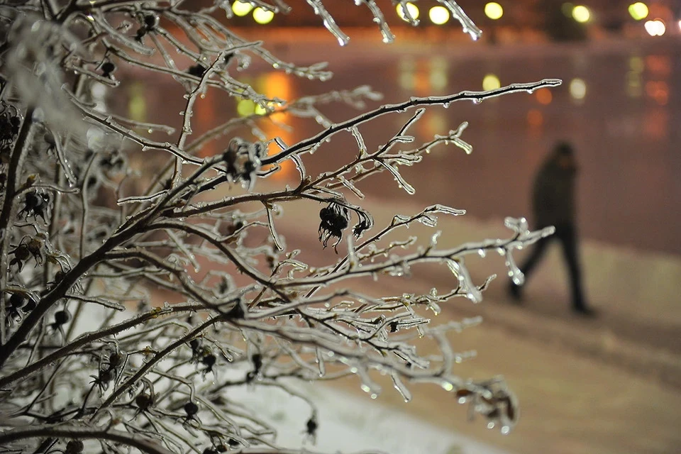 Из-за ледяного дождя и гололедицы МЧС Москвы объявило экстренное предупреждение до 10 утра 22 декабря