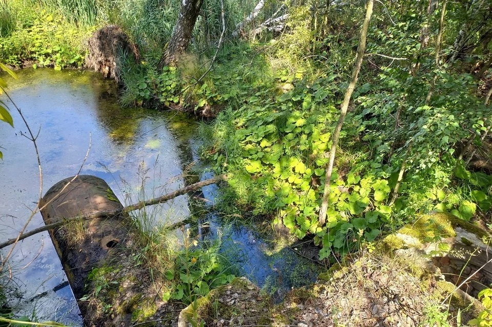 Почему штрафы не решают проблему загрязнения водных артерий Рязани