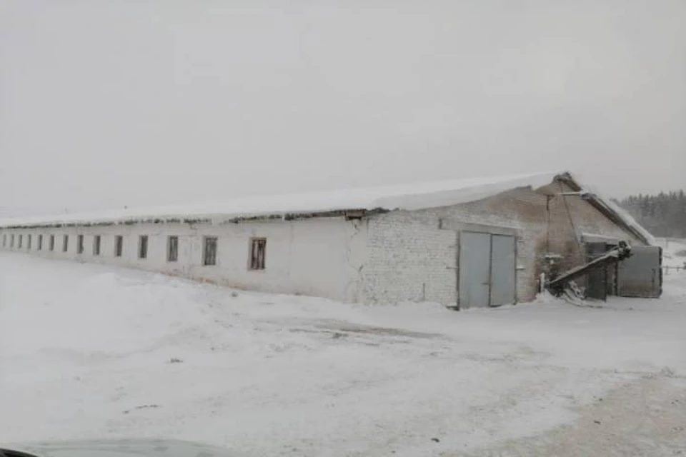 Травмы сотрудника фермы оказались смертельными. Фото: СУ СКР по Кировской области