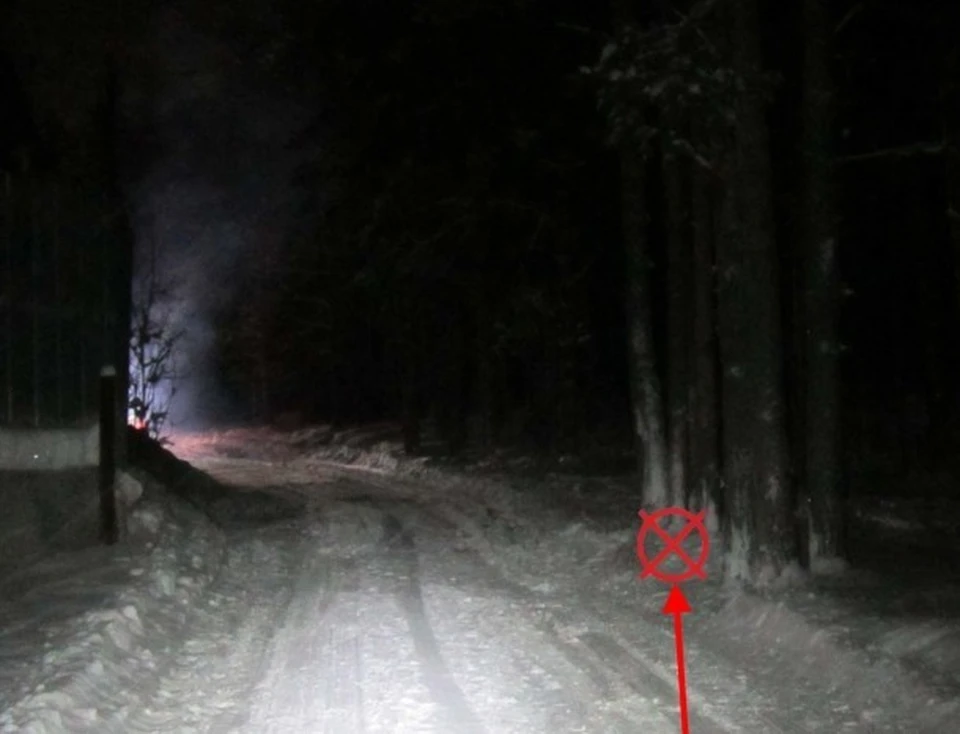 Фото: УГИБДД МВД Коми