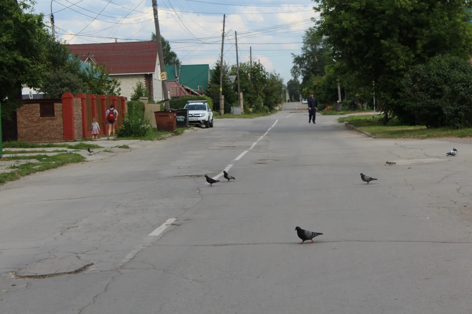 поздравить двоюродную сестру с пятидесятилетием