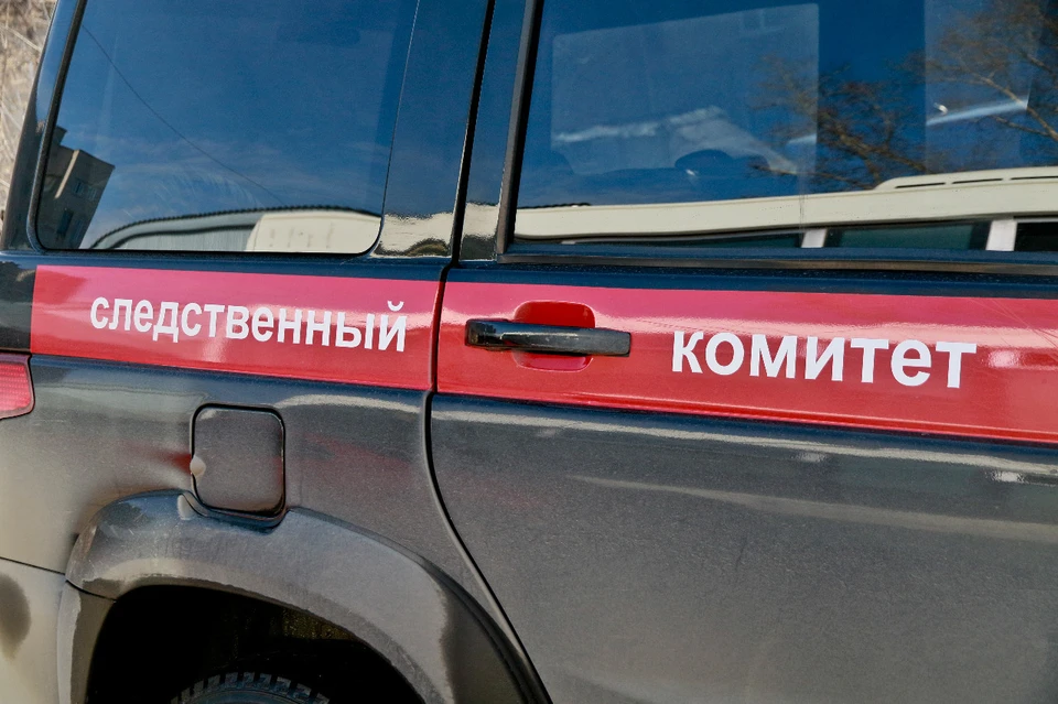 Женщины свою вину признали полностью