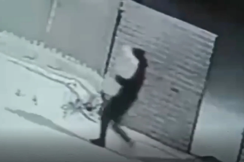 Фото: скриншот видео