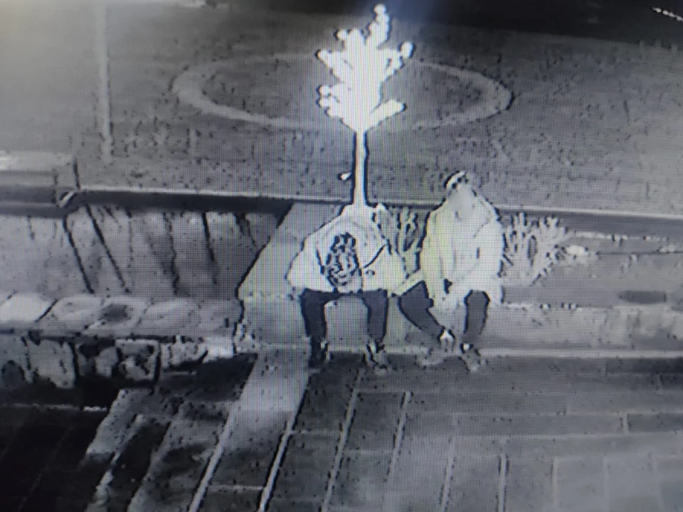 Юные астраханцы украли гирлянды с центральной елки Лиманского района