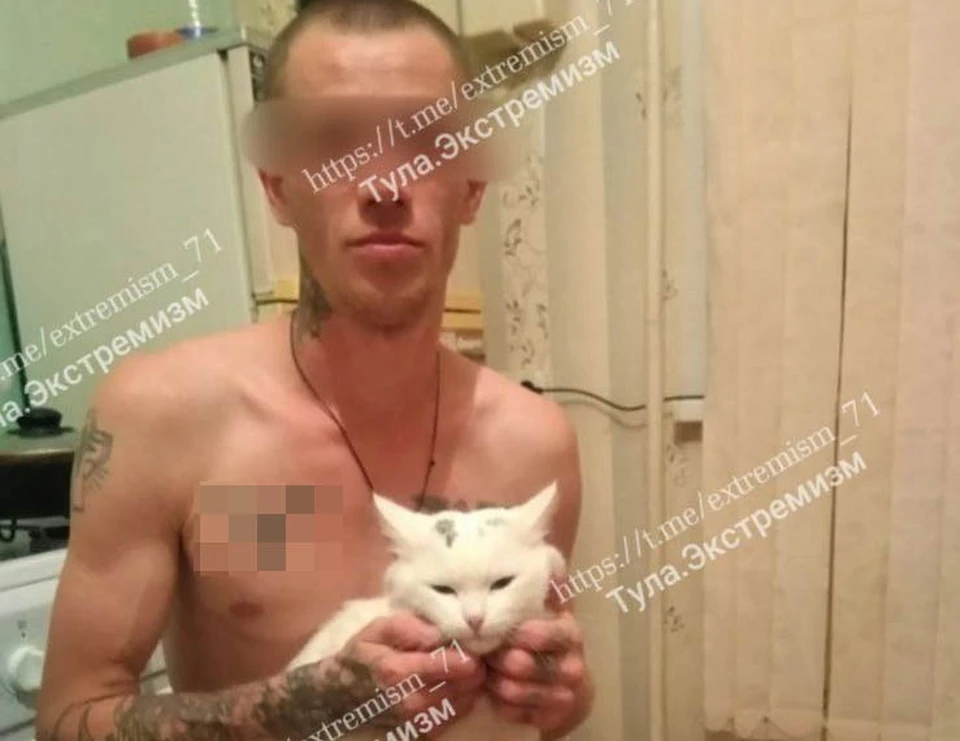 Житель Тульской области получил штраф за демонстрацию нацистской символики