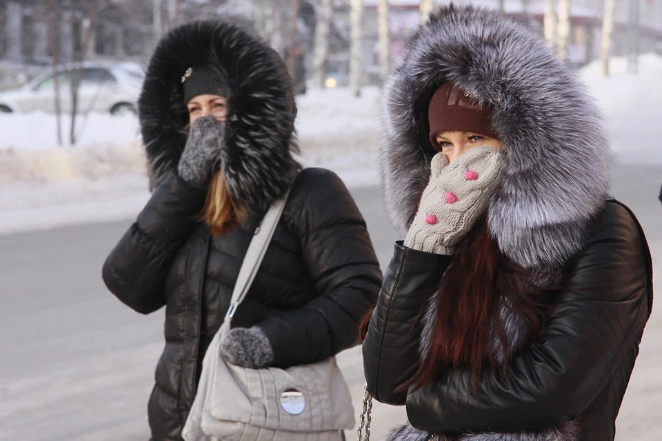 МЧС предупредило жителей Подмосковья об аномальных морозах с 6 по 10 января