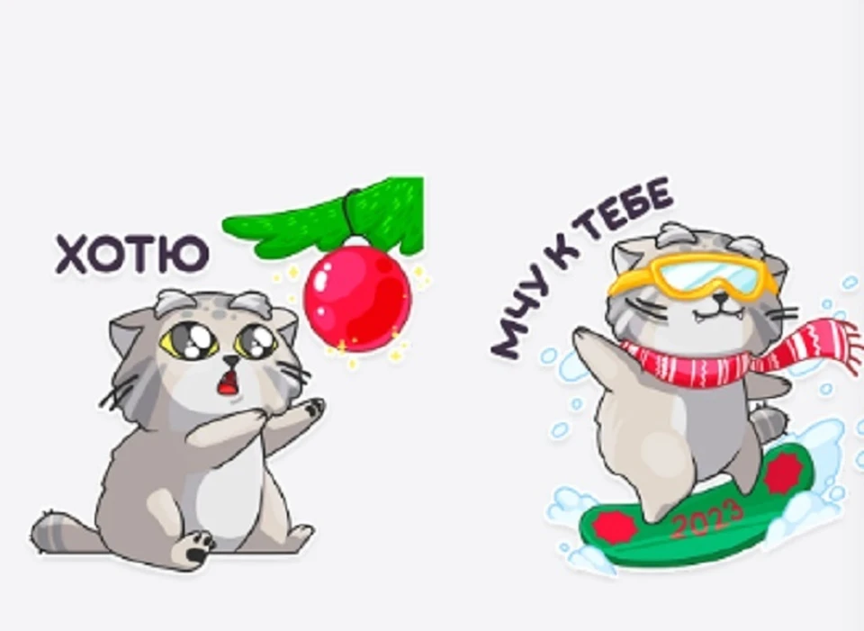 В Telegram появились стикеры с манулом из Новосибирска. Фото: Manul_nsk.