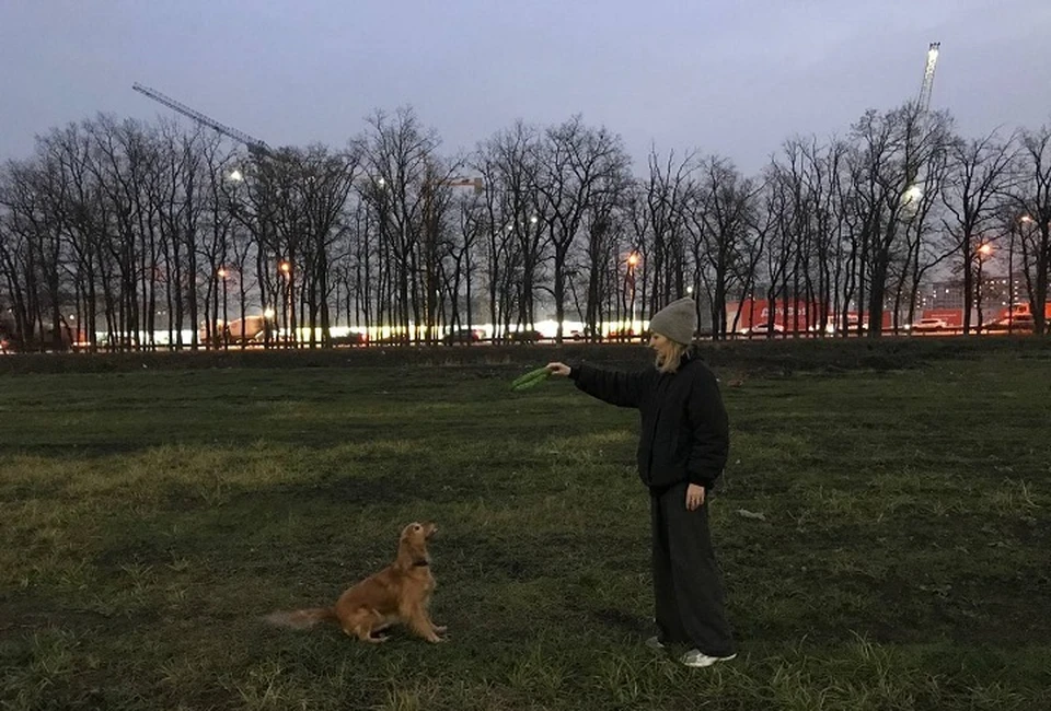 Выгулять собаку по правилам в Краснодаре непросто.