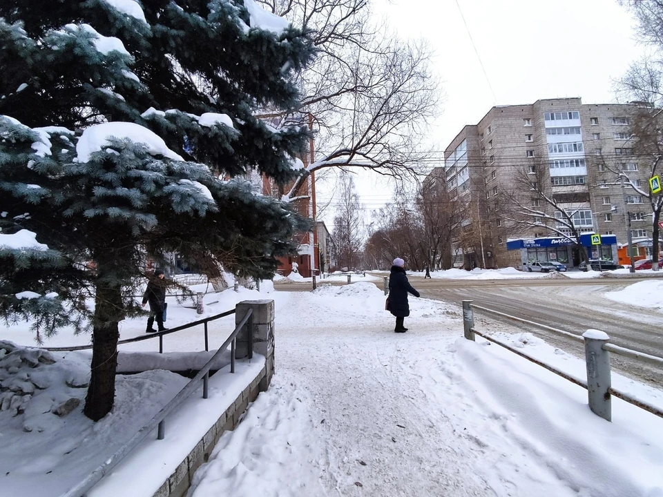 Фото: Анна Ковалева