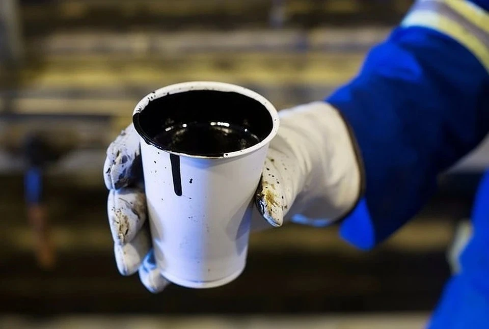 Казахстан планирует направить через трубопровод «Дружба» 1,5 млн тонн нефти в Германию