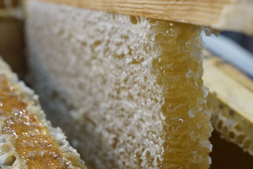 Опасный мед изготовили в домашних условиях и привезли в стеклянных и пластиковых бутылках