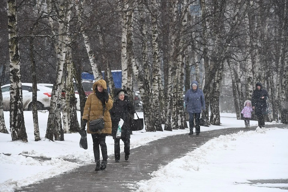 Снег и ветер обещают Хабаровскому краю 13 января