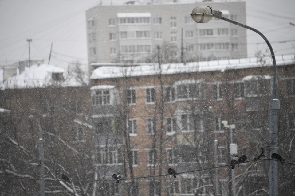 Если в Ростове обойдется без осадков, то в Ростовской области местами пройдет мокрый снег.