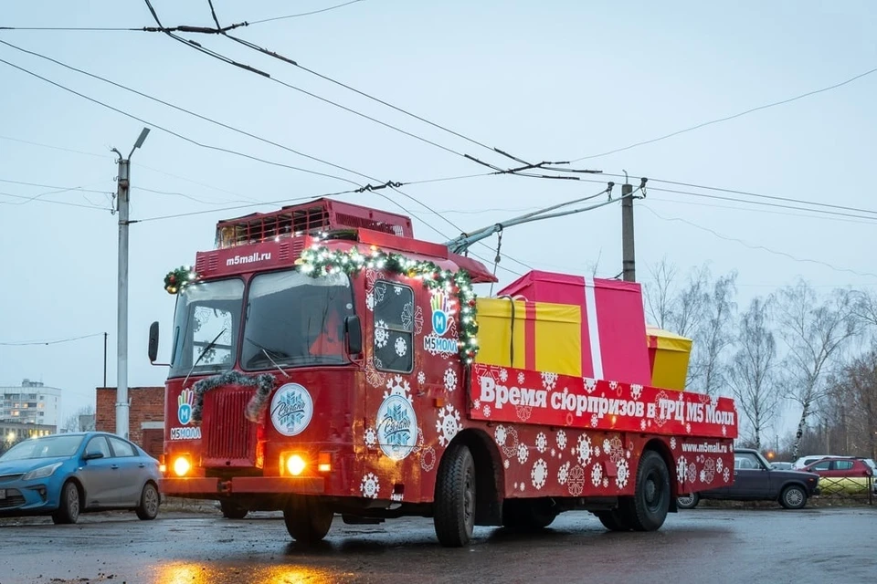 В Рязани предложили увековечить уникальный грузовой троллейбус. Фото: dmitrij01121.