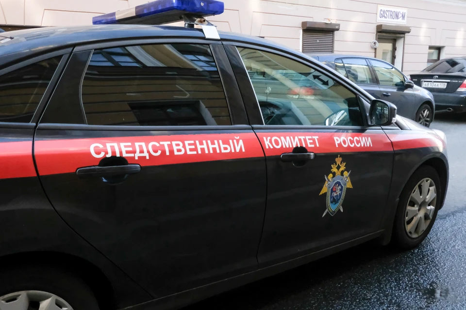 СК начал проверку из-за избиения отчимом девочки металлической трубкой в Петербурге