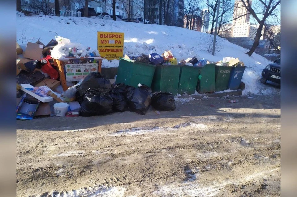 Жители Владивостока жаловались на мусорные свалки.