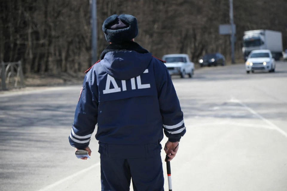 Жителя Некоузского района Ярославской области будут судить за посягательство на жизнь полицейских.