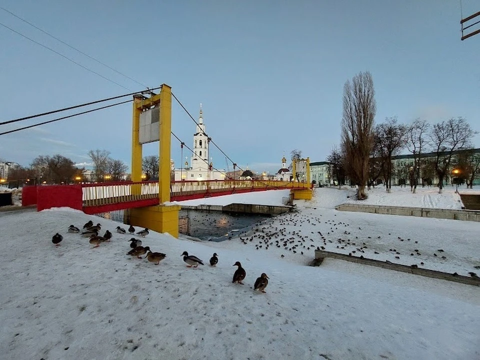 Фото: Ольга Супонева