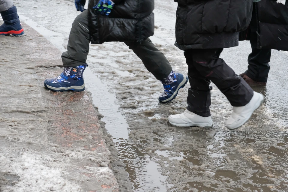 Мокрый снег и гололед ждут Петербург 20 января
