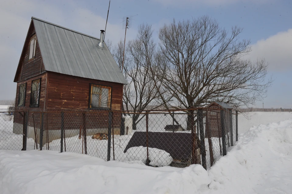 В Ульяновске задержали серийного грабителя дачных домиков