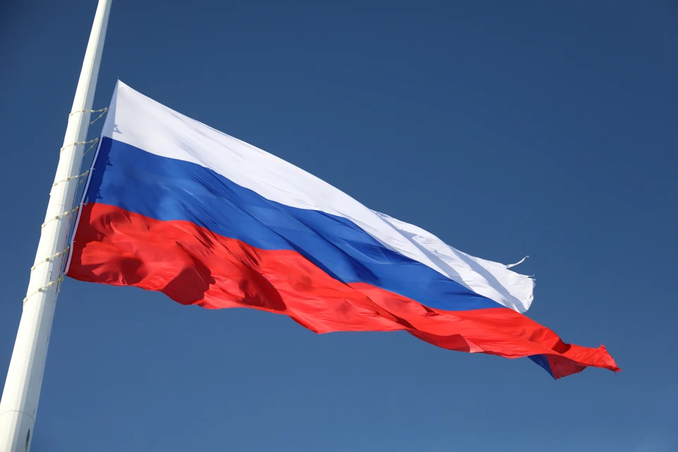 Повреждения заметны у основания и по краям полотна