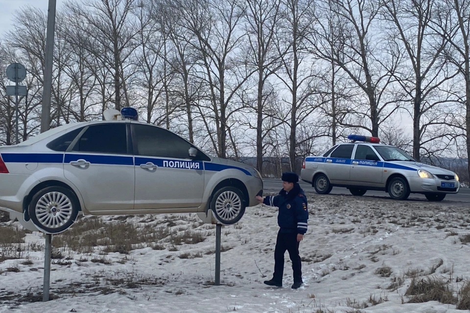 В Рязанской области появились новые муляжи машин ДПС. Фото: УМВД РФ по Рязанской области.