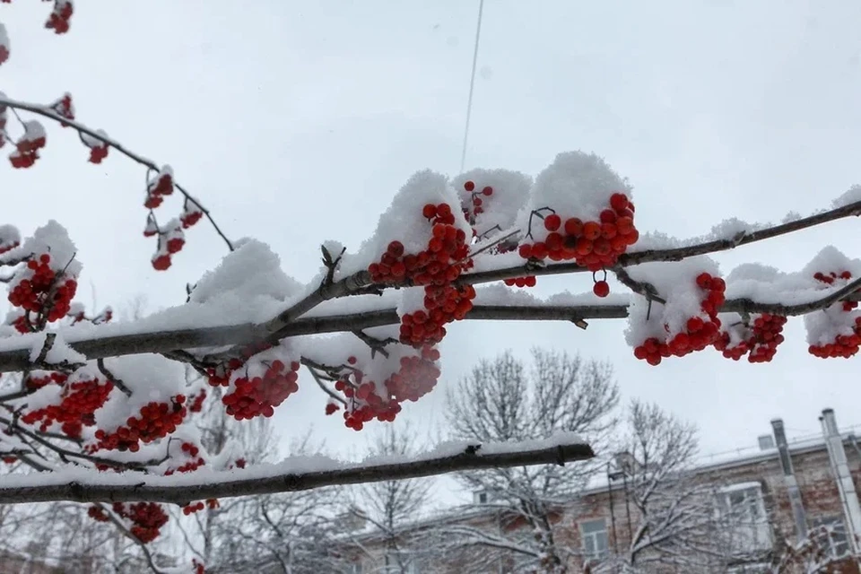 Синоптики обещают снег в Ижевске. Фото: архив