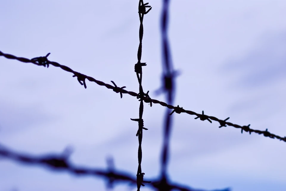 Фото: pxhere.com