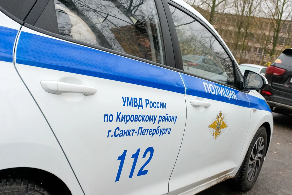 Полиция проверяет заявление об изнасиловании девочки в Петербурге