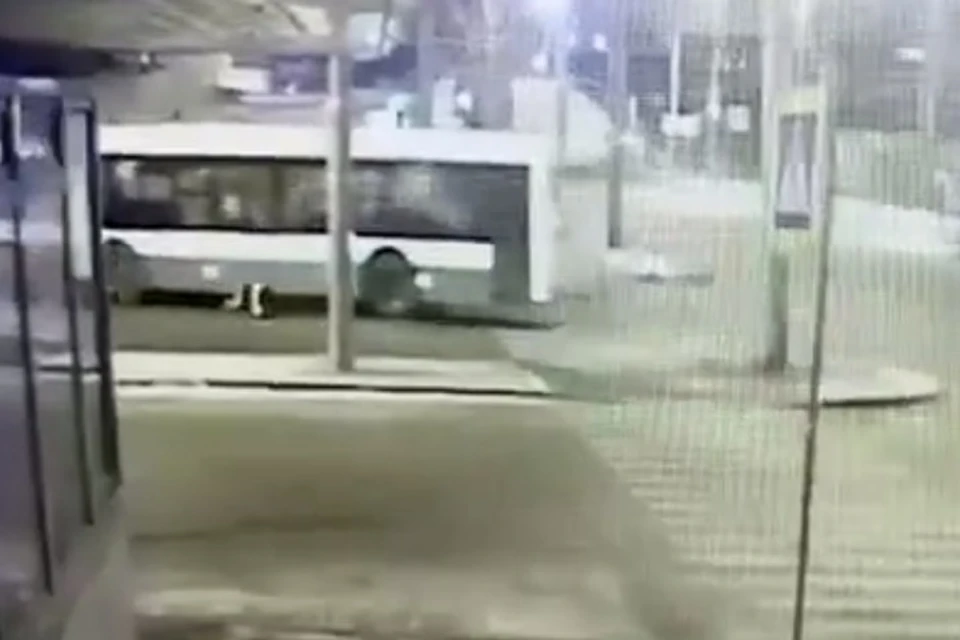 Мужчину чудом не переехало задними колесами автобуса. Фото: "Мегаполис"