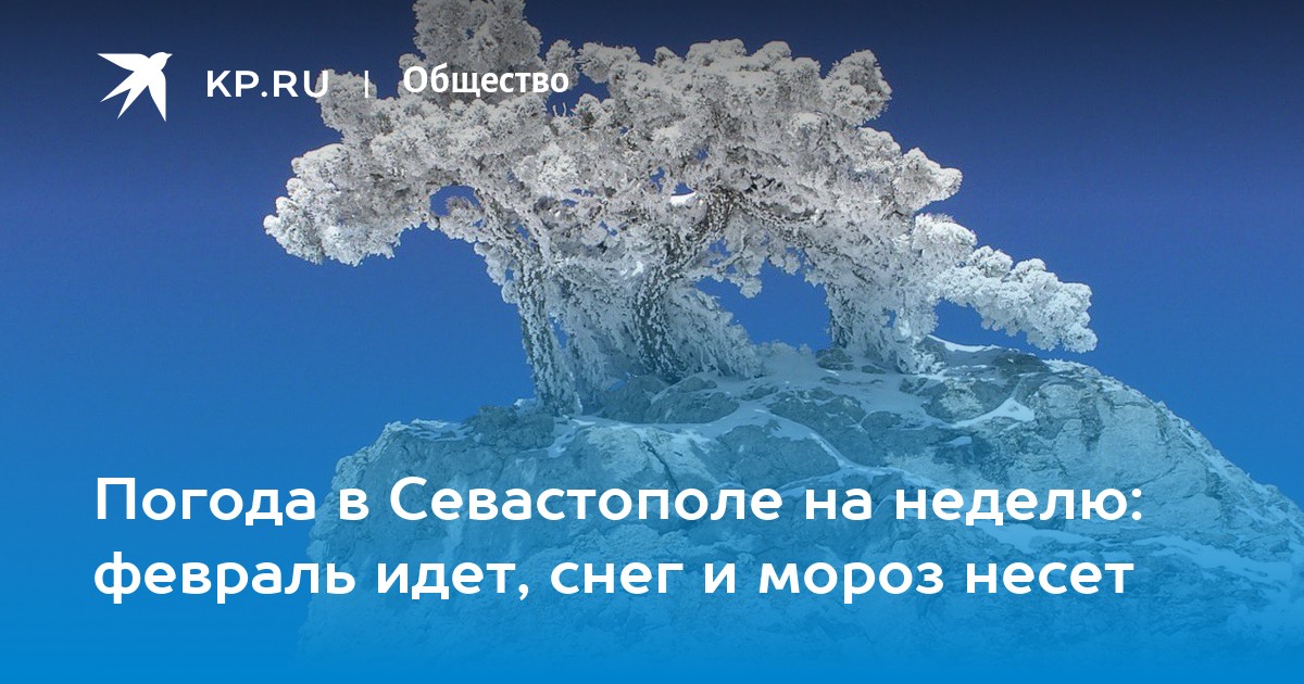 Погода в севастополе на апрель 2024. Погода в Севастополе в феврале. Погода в Севастополе. Климат Севастополя. Февраль снег идет.