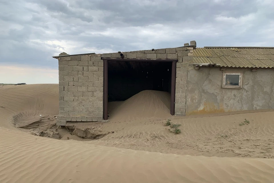 Борьба с засухой и опустыниванием станет более эффективной. Фото: mts.ru