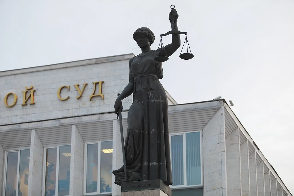 В Красноярске ужесточили приговор суррогатной матери, продавшей своего ребенка