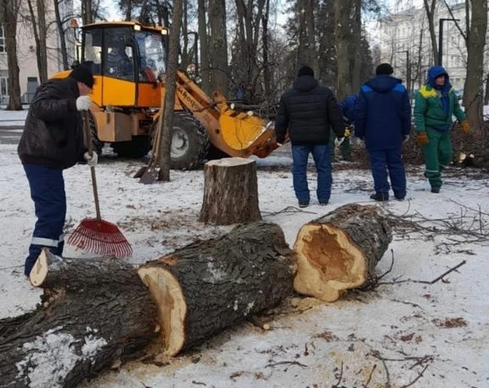 Фото управления экологии Воронежа