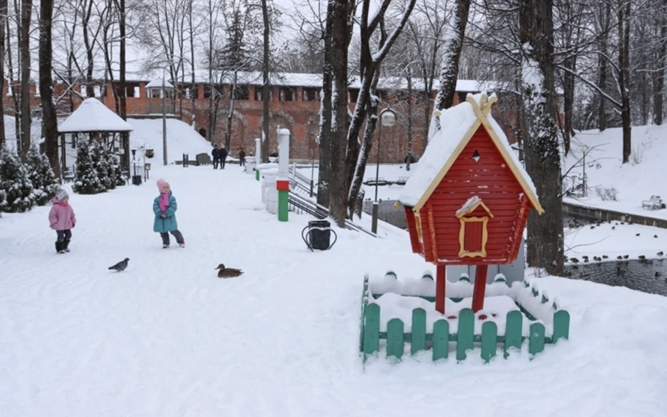 Одна двойня родилась в январе в Смоленске. Фото: Алёна Лавушкина.