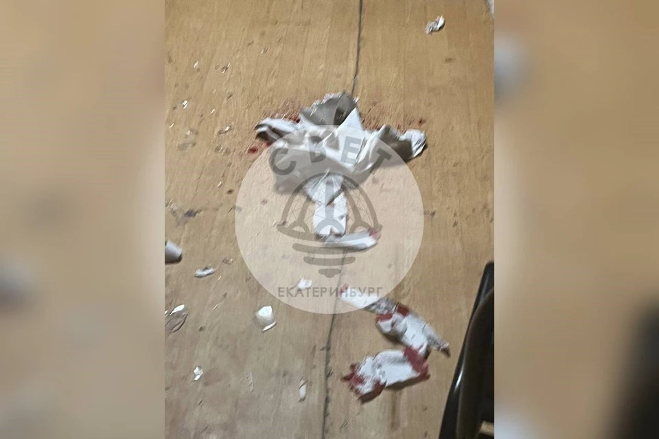 Фото: telegram-канал «СВЕТ»