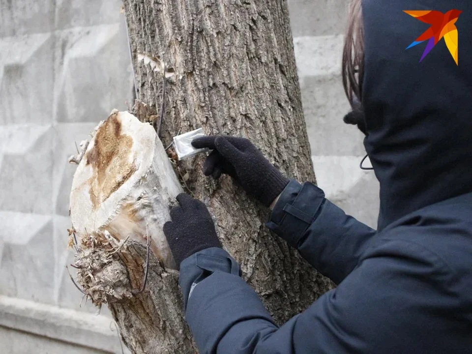 Уголовное дело передали в суд