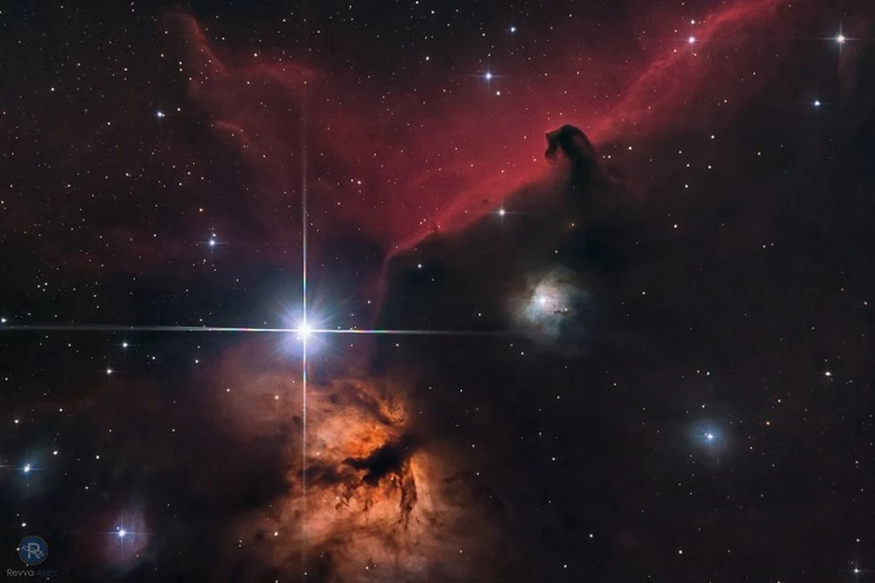 Стрижка в феврале 2024 космос. Туманность. Космос. Туманность фото. Туманность конская голова в созвездии Ориона.
