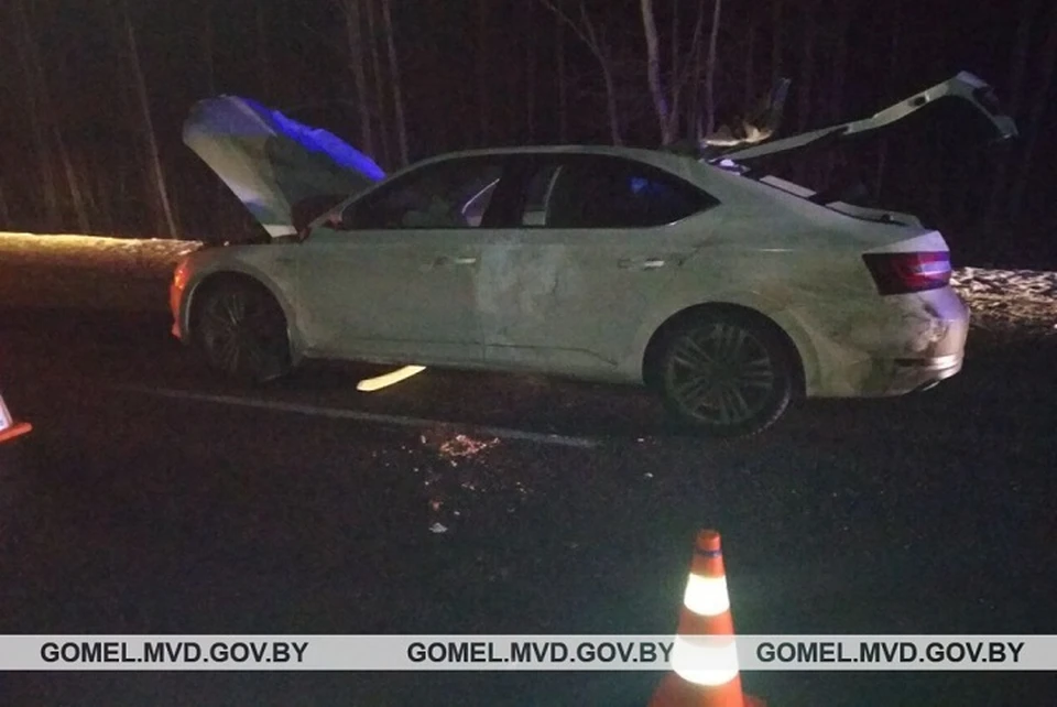 Водитель в реанимации, пассажир погиб в итоге ДТП с лосм в Речицком районе. Фото: ГАИ УВД Гомельского облисполкома.