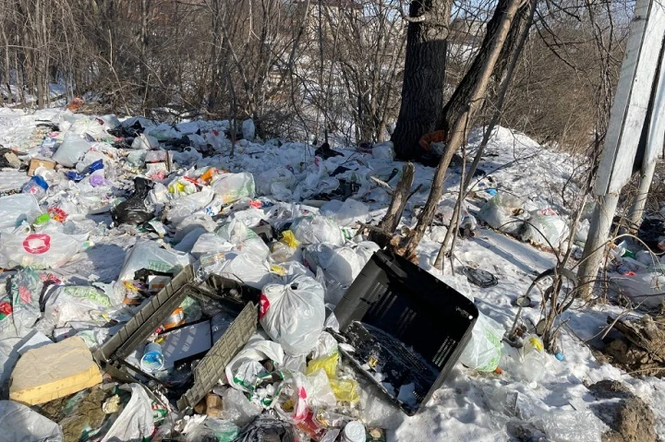 Две свалки мусора обнаружили в Хабаровске Фото: Татьяна Пестерева