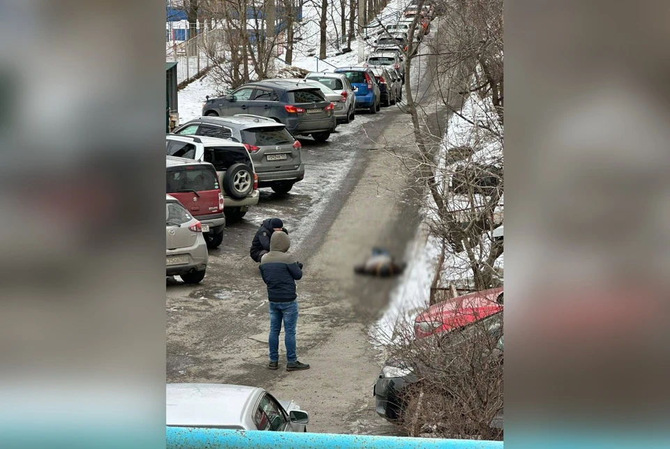 Фото: социальные сети
